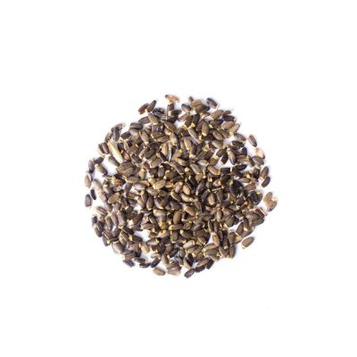 milk-thistle-seeds milk-thistle-seeds