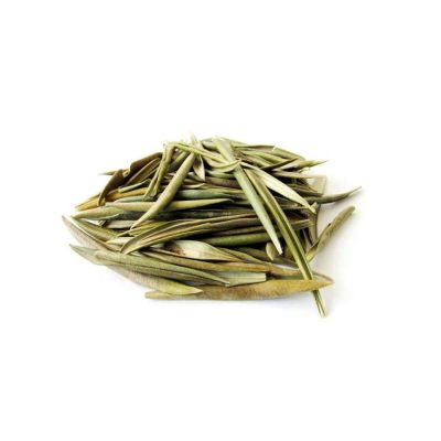olive-leaf-olea-europea olive-leaf-olea-europea