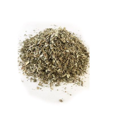 plantain-herbs-plantago-major plantain-herbs-plantago-major