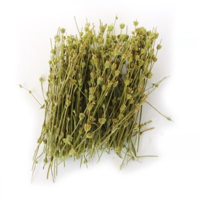 siteritis-dag-cayi siteritis-dag-cayi